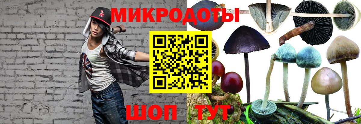 Нефтекамск  как найти   Псилоцибиновые грибы Psilocybe  Вход с VPN  Галлюциногенные грибы Cubensis 