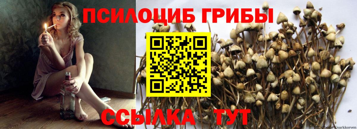 Галлюциногенные грибы Magic Shrooms Нефтекамск